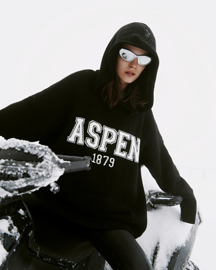 Аспен 22